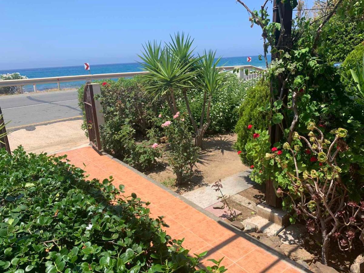 Spiti Damianos Villa Beachfront Pomos Esterno foto